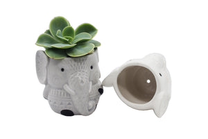 Elephant Succulent Planters 2 Pack Ceramic Flower Pots with Drainage Hole