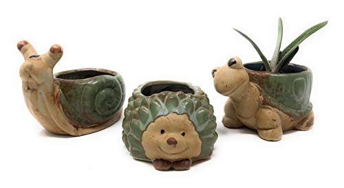 3 Pack Animal Planter Pots for Succulent or Small Plants Turtle Snail Hedgehog
