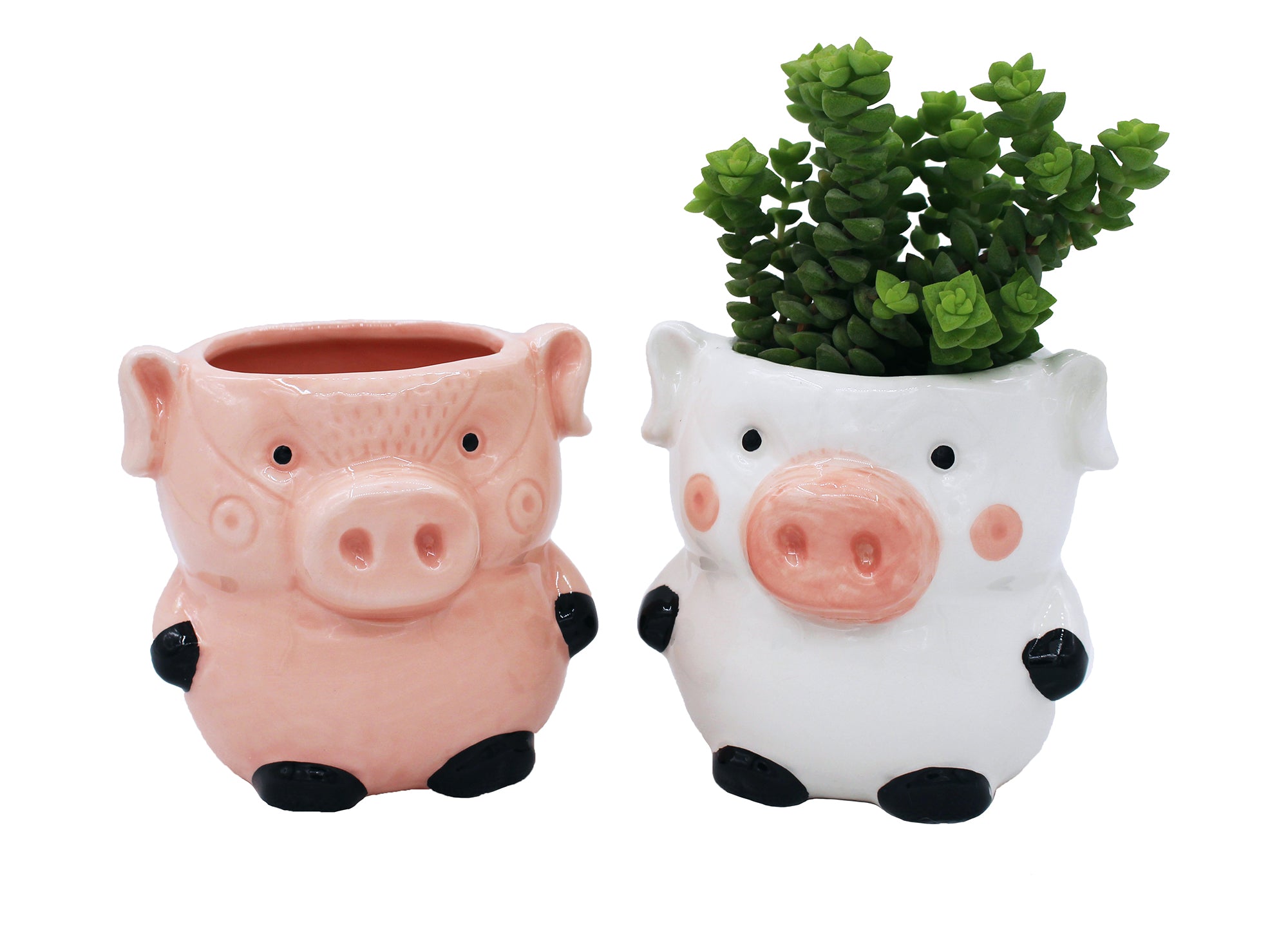 Pig Planters Kitchen Home Decor 2 Pack Ceramic Succulent Flower Pots with Drainage Hole