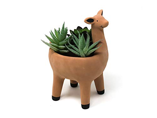 Cute Alpaca Succulent Planter Pot in Terracotta Color 3.5 Inch Wide Indoor Outdoor Home Decoration