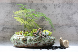 Premium Large Shallow Succulent Planter Pot, Ceramic with Decorative Patina Glaze, Kitchen, Living Room, and Home Decor