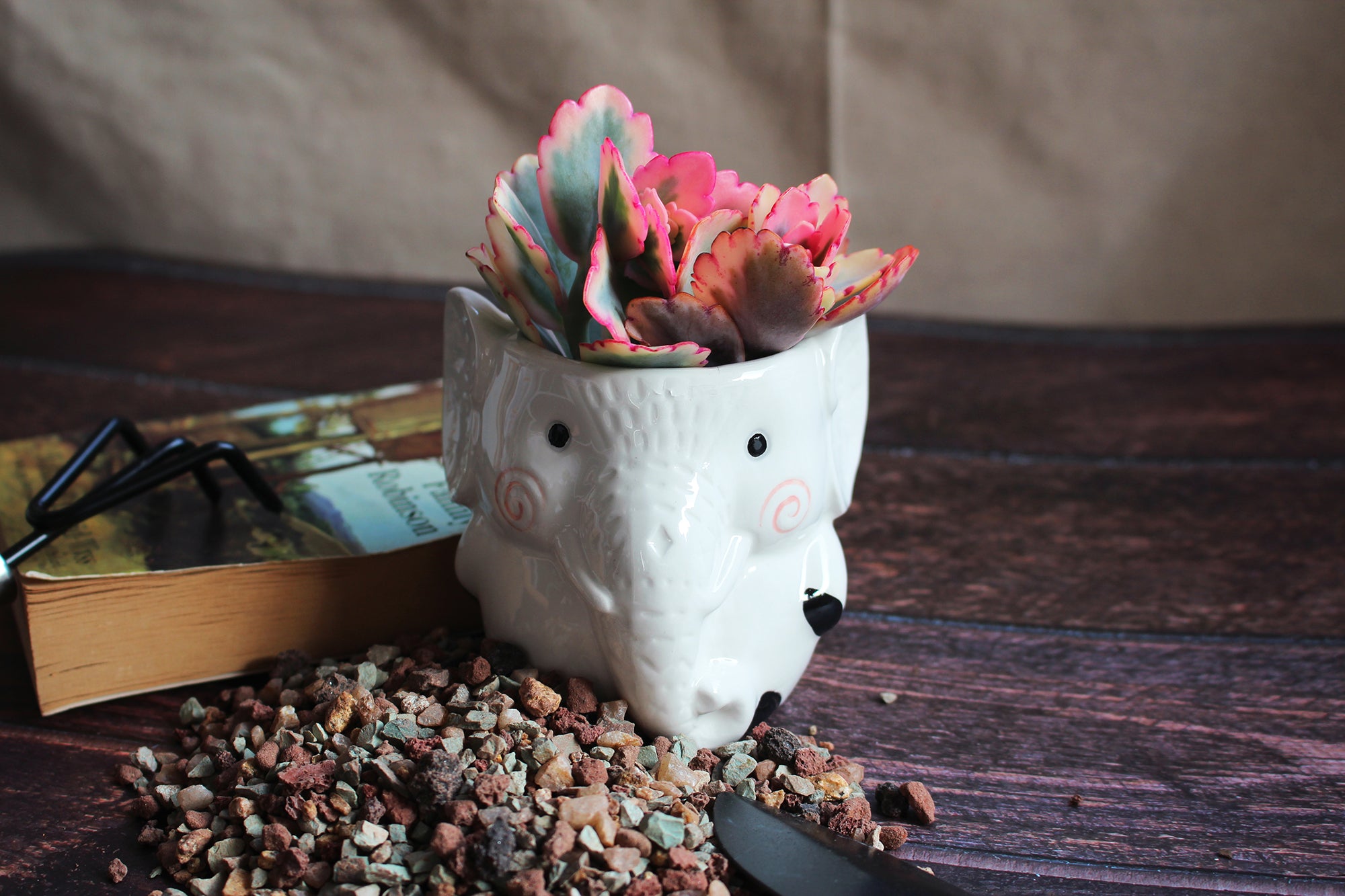Elephant Succulent Planters 2 Pack Ceramic Flower Pots with Drainage Hole