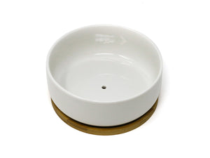 Large white succulent planter ceramic bowl with drainage hole and bamboo saucer