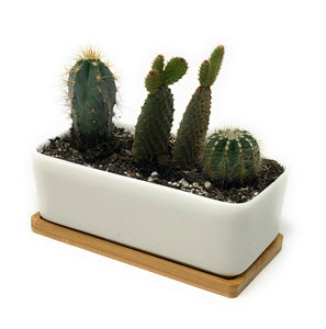 Rectangular Succulent Planter for Cacti Garden Indoor Outdoor Use, Drainage Hole at bottom with Bamboo Saucer