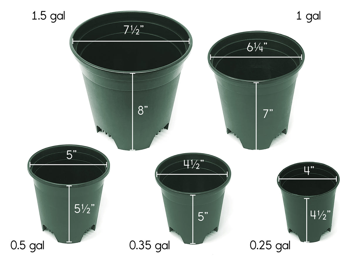 Guide pot plant size nursery illustration above not sized proportionally purposes note another please only 4 gallon plant pot