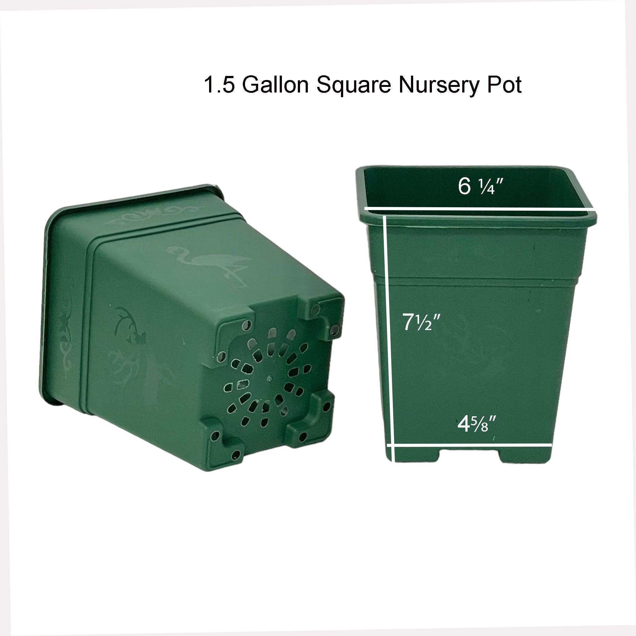 Square Nursery Pot 1.5 Gallon 6.25 Inch Plastic Planters Green