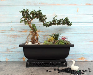 Bonsai Pot with Stand 11.5 Inch Medium Bonsai Tree Training Pot Mesh Drainage Recycled Plastic
