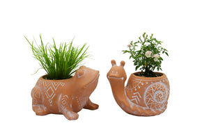 Terracotta Animal Planter Succulent Pots, Frog Snail Pots 2-Pack, Cute Garden Decor, 2.5 Inch Pots