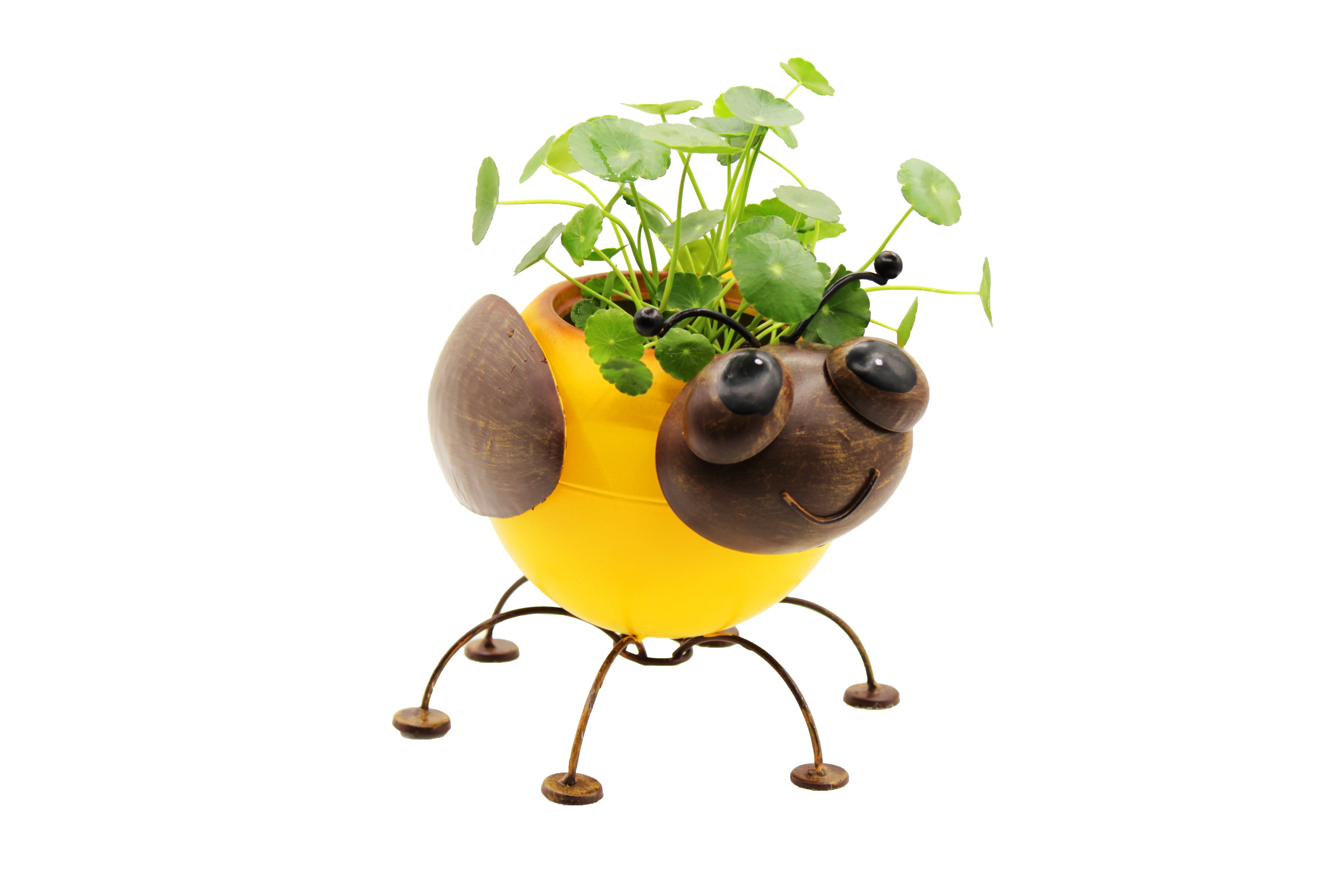 Metal Bumble Bee Planters with bobble head