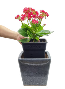 Square Nursery Pot 0.5 Gallon 5 Inch Plastic Planters for Outdoor Indoor Plants