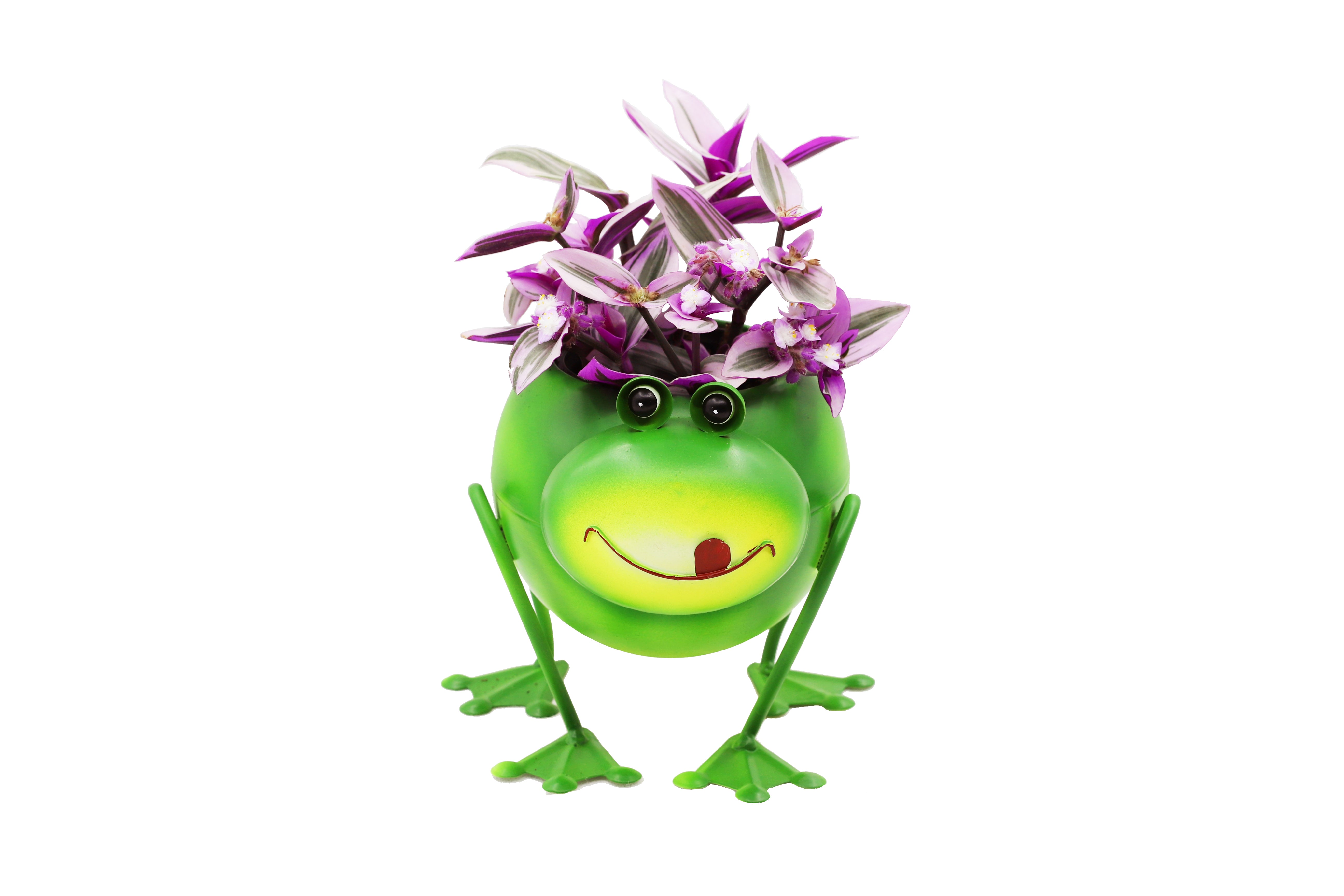 Metal Planter Green Frog with Pot Liner Succulent Pot Gardening Decoration