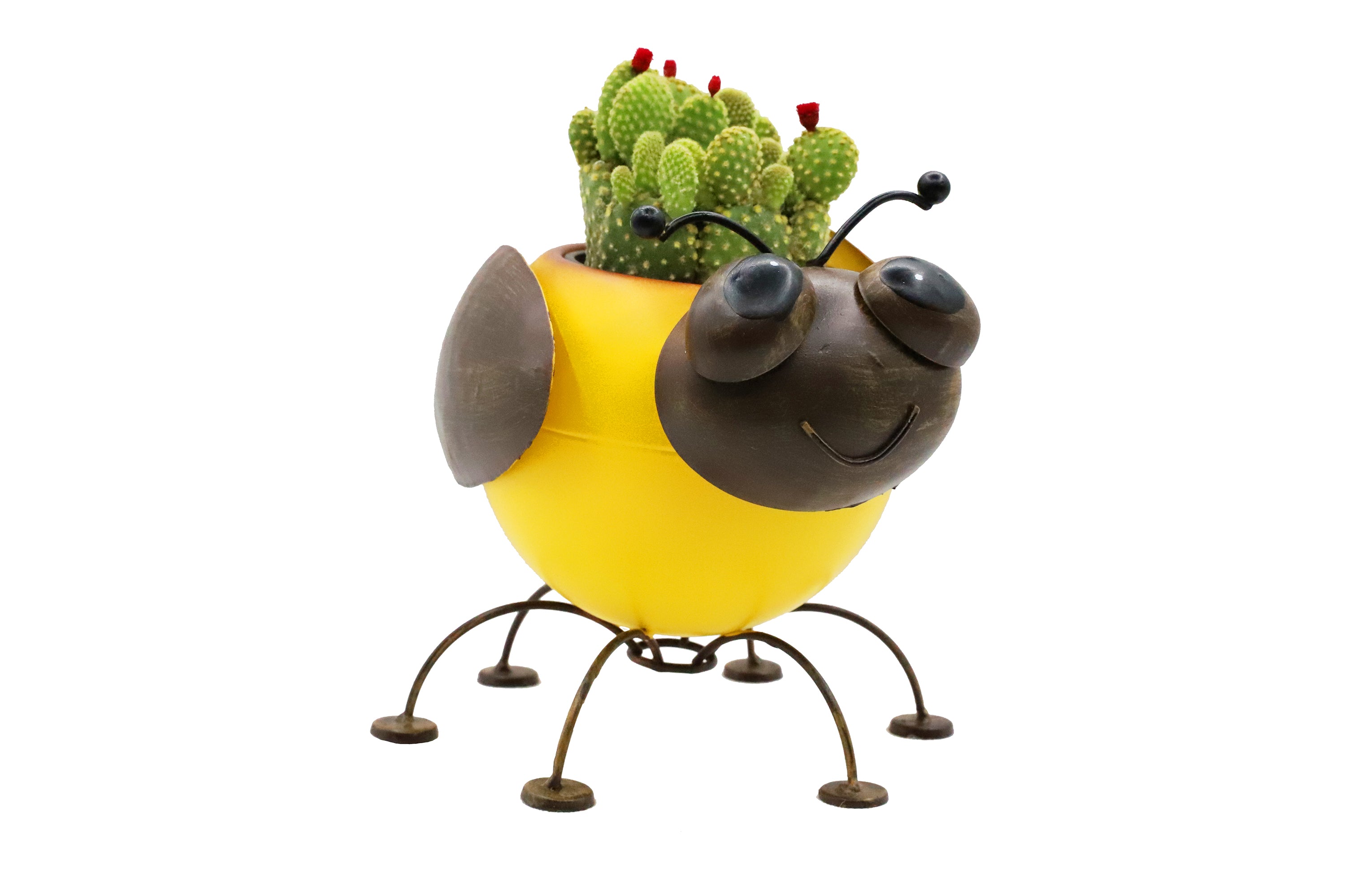 Metal Planter Bumble Bee with Pot Liner for Succulent Cacti Small Plants