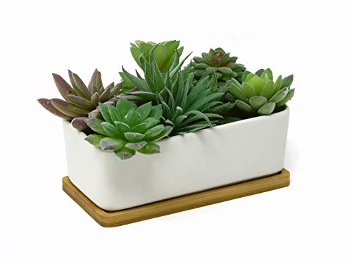 Rectangular Succulent Planter Pot with Bamboo Saucer