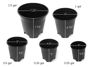 0.5 Gallon Nursery Pot Plastic Planters for Outdoor Indoor Plants