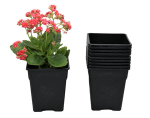 Square Nursery Pot 0.5 Gallon 5 Inch Plastic Planters for Outdoor Indoor Plants