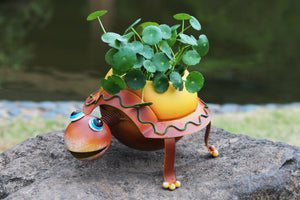 Metal Turtle Planter Succulent Pot with Pot Liner