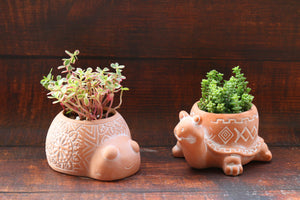 Terracotta Animal Succulent Planter, Turtle Ladybug Pots Home Decor, 2-pack Smaller Planter Set