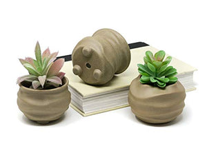 3pc Set Natural Clay Organic Shape Succulent Planter Pots