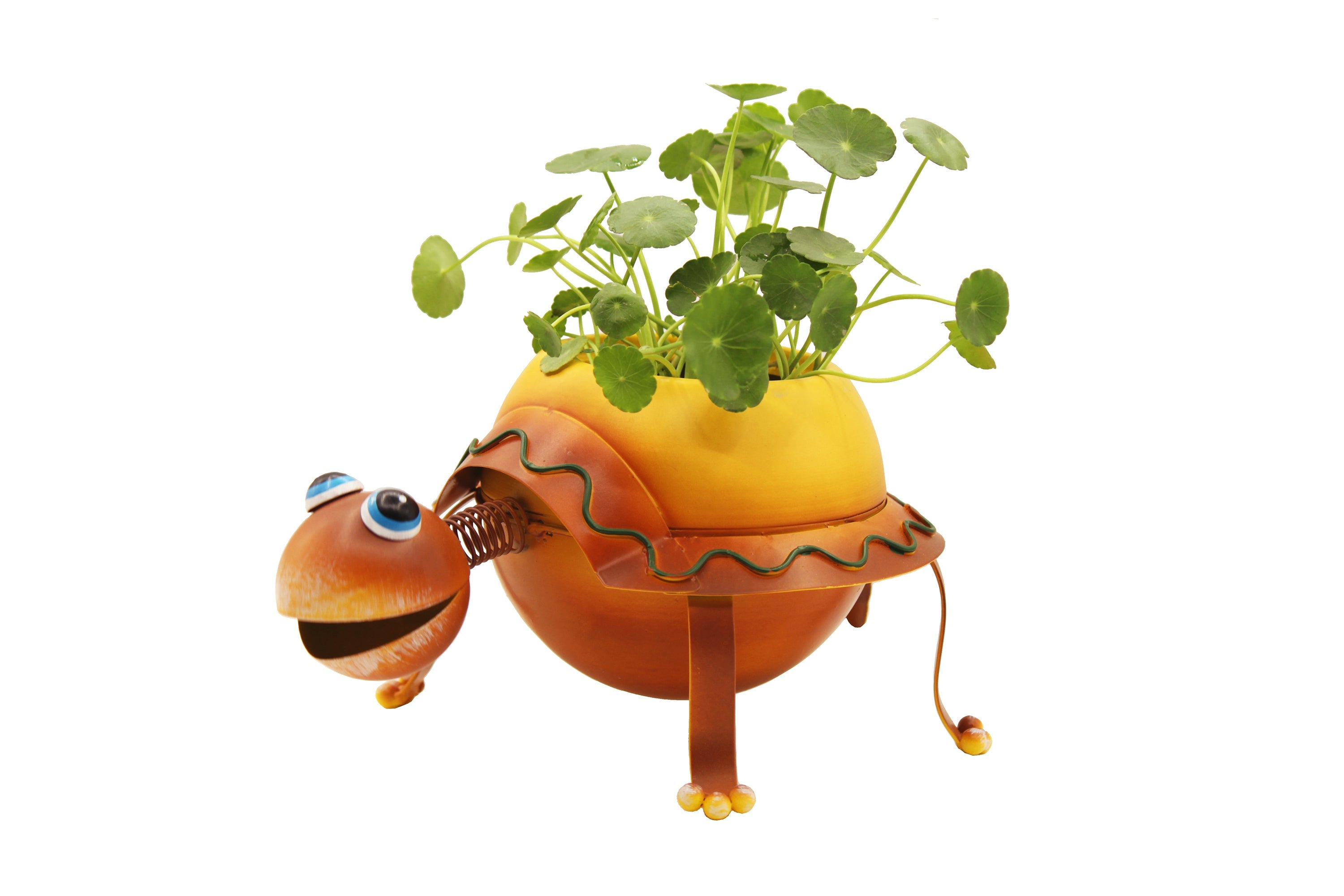 Metal turtle planter for small plants, include a plastic pot liner. For indoor or outdoor use