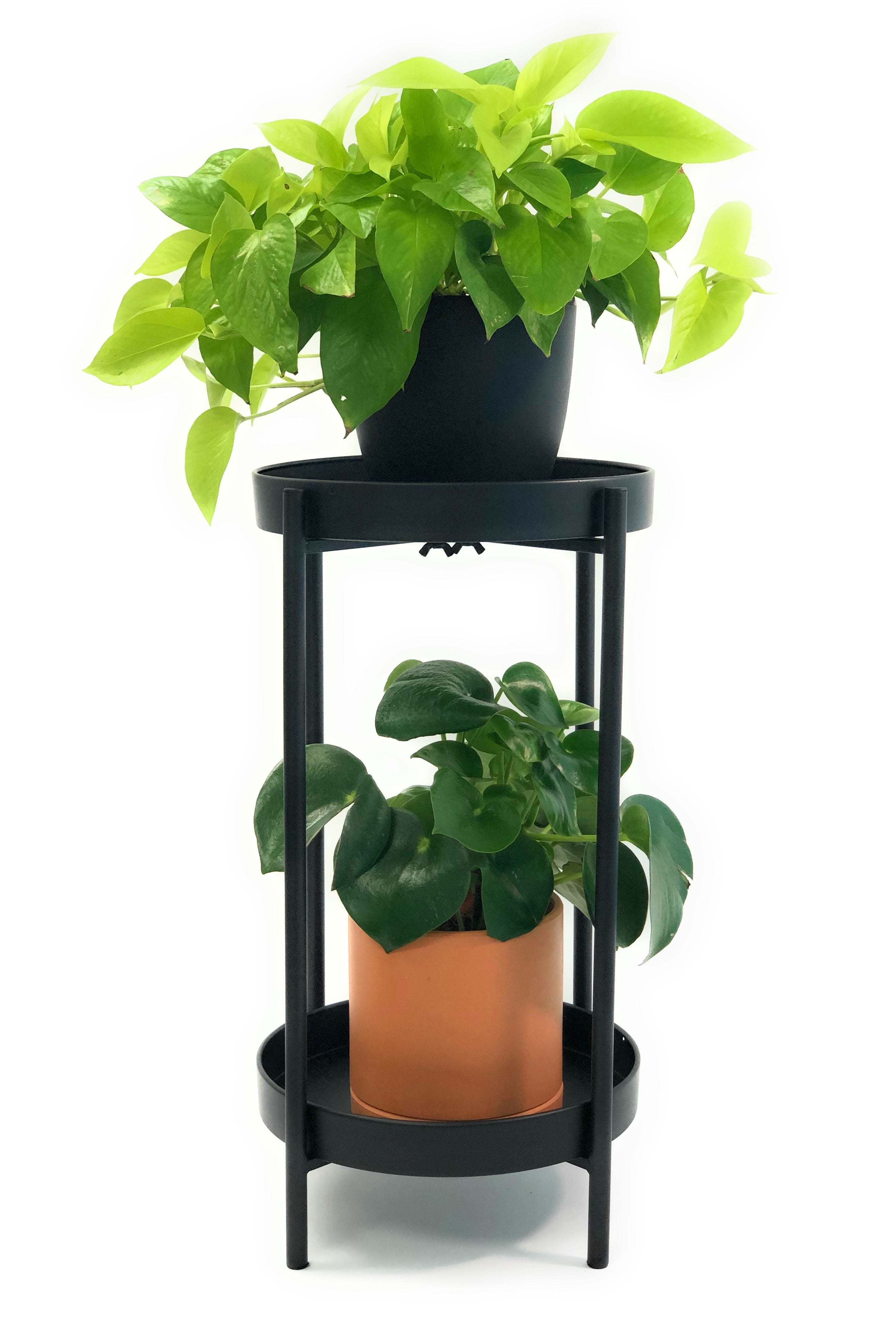 2 Tier Metal Plant Stand with Removable Plates, Powder-Coated-Steel Frame in Black Color