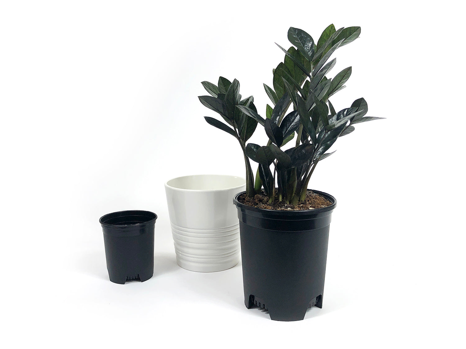 Gurdtopo Black Plastic Garden Plant Pots – 1 To 25 Gallon – Nutrition Nursery Pots