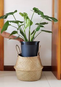 5 Gallon Nursery Tree Pot for Large Plants Small Trees