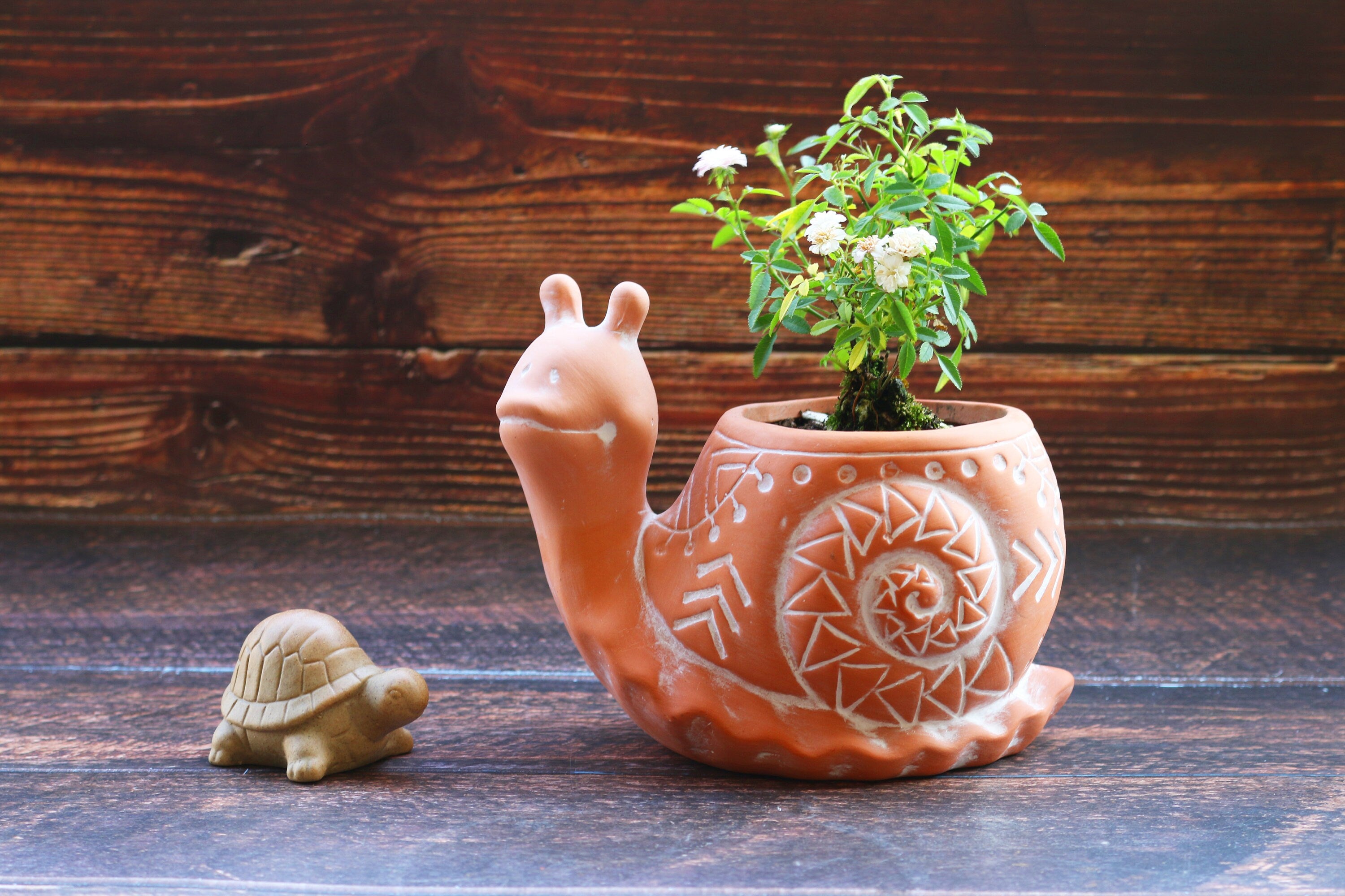 Terracotta Animal Planter Succulent Pots, Frog Snail Pots 2-Pack, Cute Garden Decor, 2.5 Inch Pots