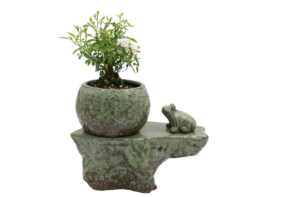 Mini Rockery with self-watering plant pot and a frog figurine, patina glaze ceramic planter