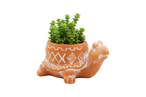 Terracotta Animal Succulent Planter, Turtle Ladybug Pots Home Decor, 2-pack Smaller Planter Set