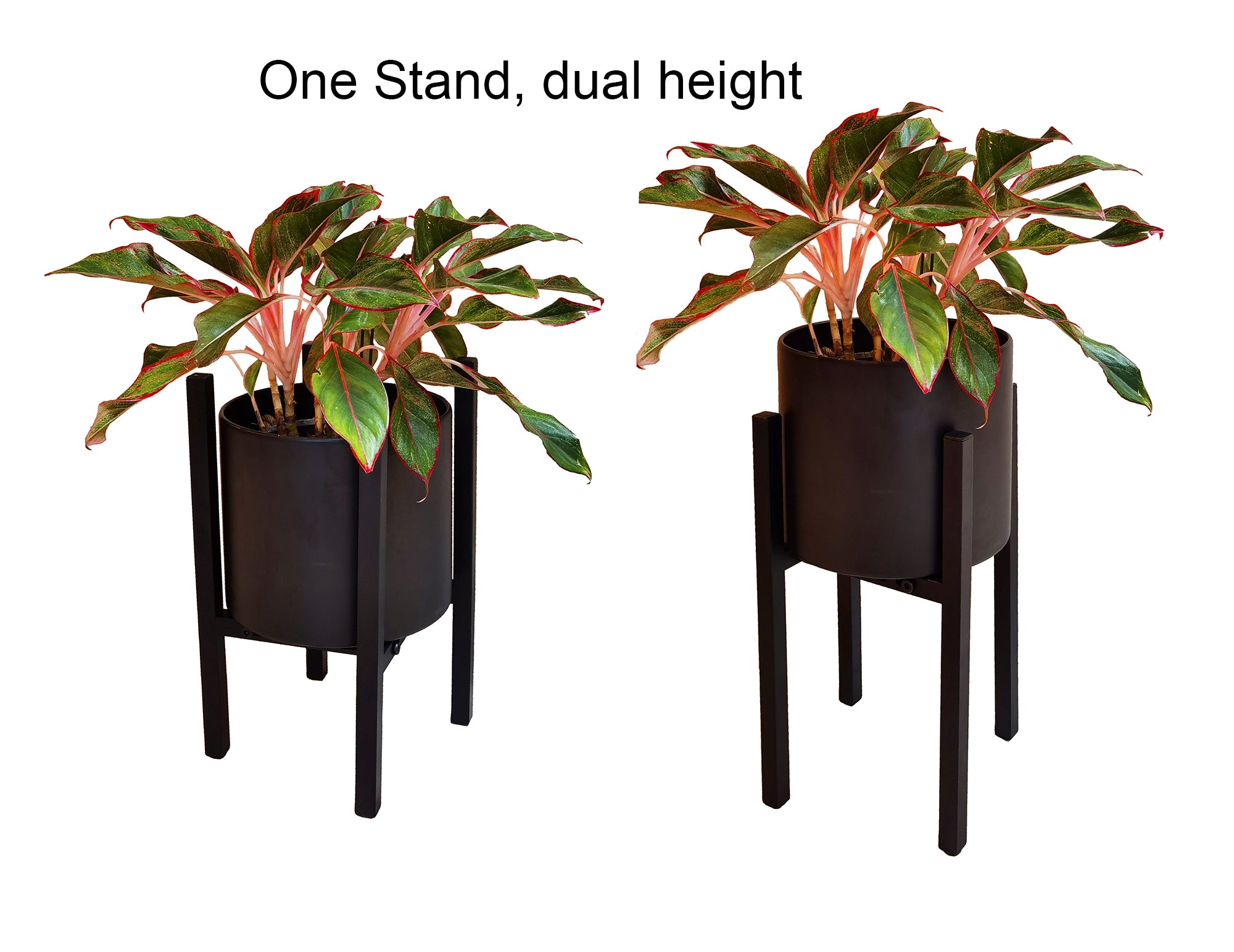 Adjustable Black Metal Plant Stand Dual Height Options Powder Coated Steel Frame